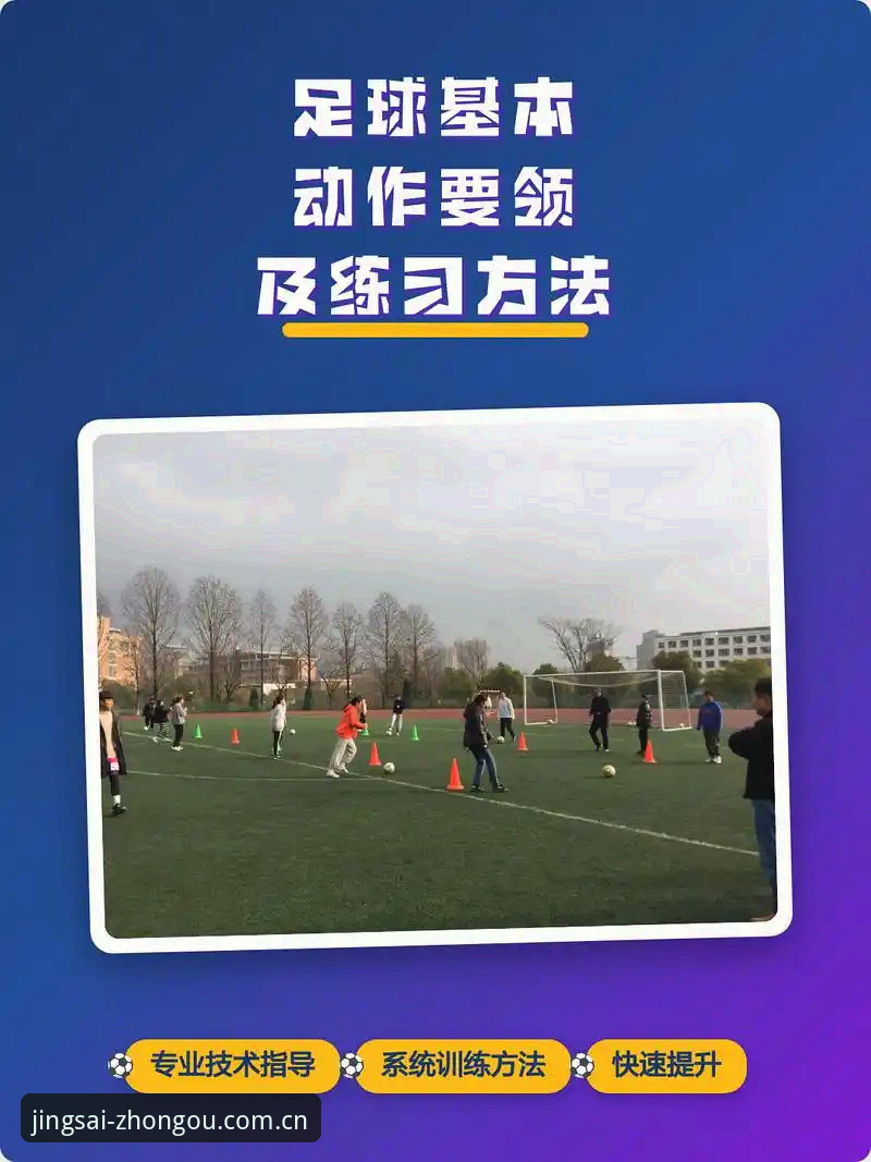 中欧体育使用教程使用技巧：5个提升竞技分析效率的核心方法